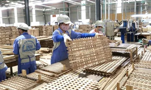 Xuất khẩu lâm sản trong năm 2022 dự kiến đạt hơn 16 tỷ USD