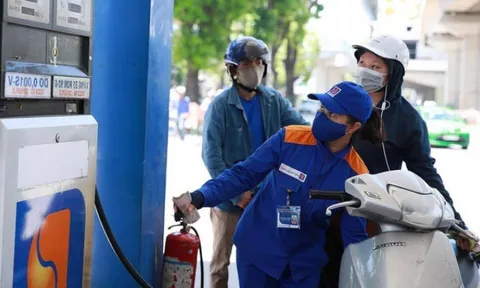 Chính phủ triển khai Nghị quyết của UBTVQH về mức thuế bảo vệ môi trường đối với xăng, dầu, mỡ nhờn