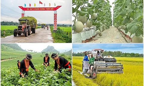 Triển khai quyết liệt, hiệu quả các chương trình mục tiêu quốc gia, đẩy nhanh tiến độ giải ngân vốn
