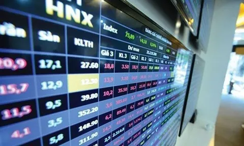 HNX tháng 7: Vốn hóa đạt 329 nghìn tỷ đồng, tăng 2,8% so tháng trước