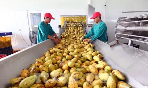 Hai năm thực thi Hiệp định EVFTA: Xóa nhòa những khoảng cách