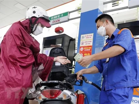 Doanh nghiệp xăng dầu lo lắng khi 7 đơn vị đầu mối bị tước giấy phép
