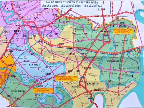 Long An: Chuyển mục đích sử dụng đất trồng lúa thực hiện Dự án ĐT.827E