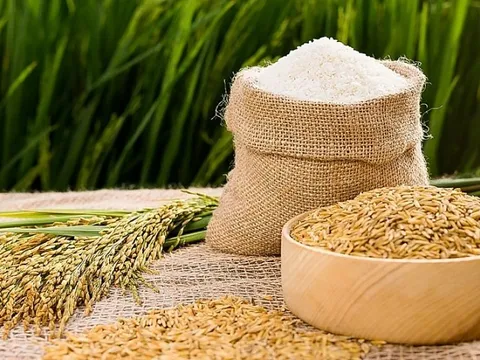 Thương vụ Việt Nam tại Thụy Điển khuyến cáo loạt giải pháp đưa nông sản vào Bắc Âu