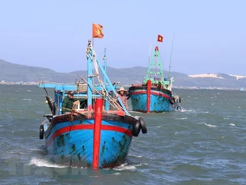 Chính phủ phê duyệt Đề án “Phòng, chống khai thác hải sản bất hợp pháp, không báo cáo và không theo quy định đến năm 2025”