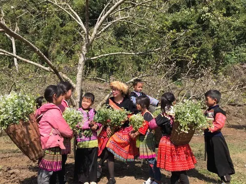 Phát triển du lịch giúp phát triển nhiều lĩnh vực khác