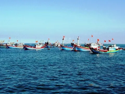Chính phủ phê duyệt Chương trình quốc gia phát triển khai thác thủy sản hiệu quả, bền vững