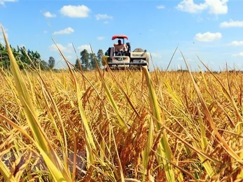 Việt Nam chung tay cùng thế giới ứng phó các thách thức toàn cầu