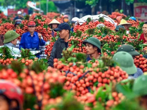 10 tháng năm 2022, xuất khẩu nông lâm thủy sản đạt gần 45 tỷ USD