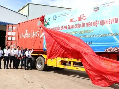 Nắm bắt lợi thế, ngành càphê Việt Nam chinh phục kỷ lục mới