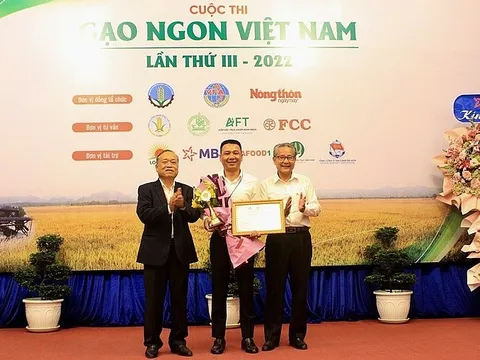 Gạo TBR39 giành giải Nhất cuộc thi Gạo ngon Việt Nam lần thứ III