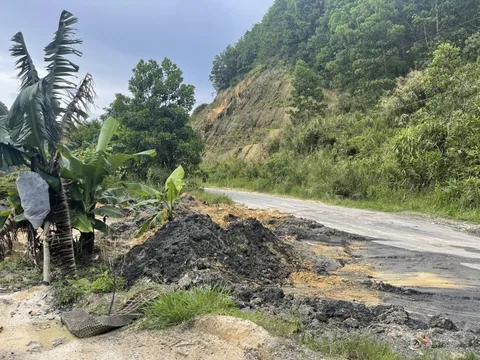 Lâm Đồng: Xử phạt một doanh nghiệp hơn 710 triệu đồng vì xả thải gây ô nhiễm môi trường