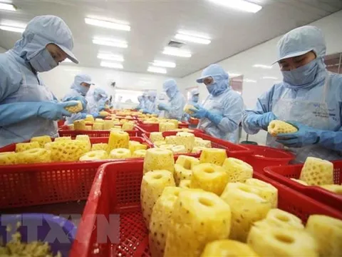 218 DN vào danh sách sơ tuyển “Doanh nghiệp xuất khẩu uy tín”