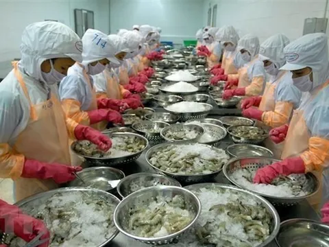 Cơ hội mới cho hợp tác thương mại Việt Nam với Luxembuorg, Hà Lan, Bỉ