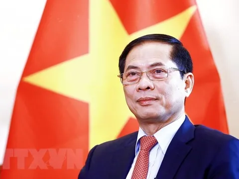 Giữ vững bản sắc đối ngoại Việt Nam, ứng phó với vạn biến của thế giới