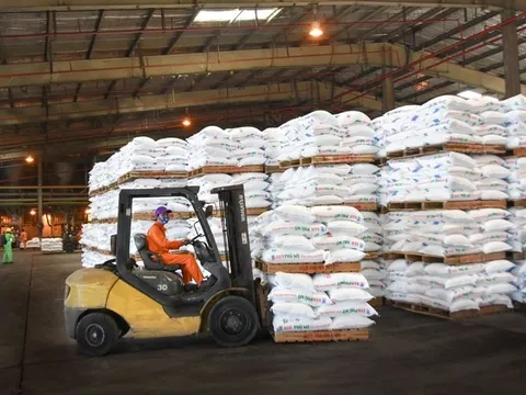 Việt Nam cần những doanh nghiệp giữ vai trò ‘sếu đầu đàn’ trong lĩnh vực sản xuất