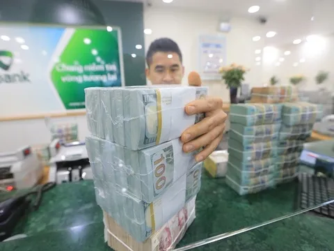 Ngân hàng Nhà nước có thể mua khoảng 12 tỷ USD trong năm 2023