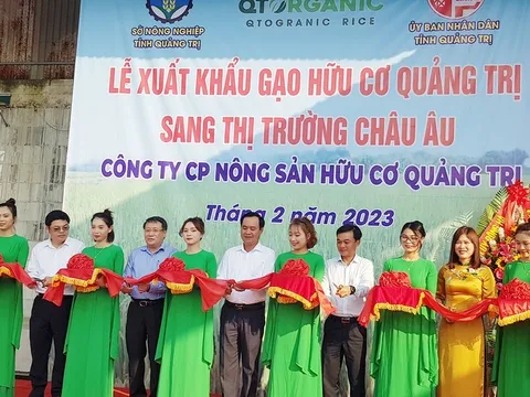 Quảng Trị xuất khẩu 15 tấn gạo hữu cơ đầu tiên sang thị trường châu Âu