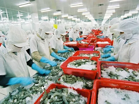 VCCI đề nghị không chồng chéo trong kiểm tra, xác minh xuất xứ hàng hoá