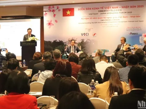 Thúc đẩy hợp tác kinh tế Việt Nam-Nhật Bản