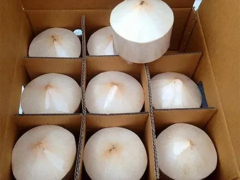 Đứng thứ 4 về tổng giá trị trên thị trường dừa thế giới, xuất khẩu dừa hướng mốc 1 tỷ USD