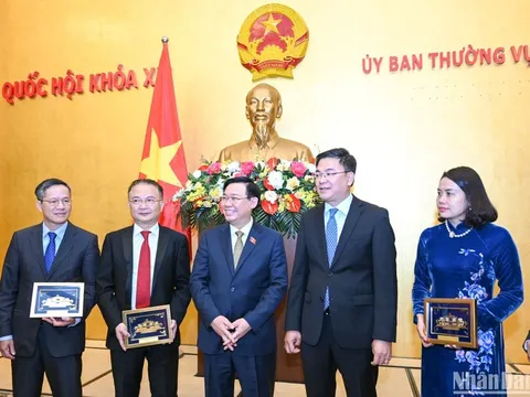 Triển khai, thực hiện tốt đường lối đối ngoại của Đảng và Nhà nước