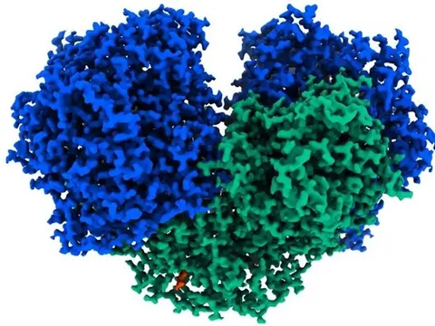 Australia phát hiện enzyme có thể biến không khí thành điện