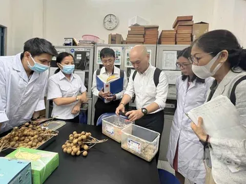 Xúc tiến xuất khẩu mặt hàng trọng tâm tại thị trường Nhật Bản