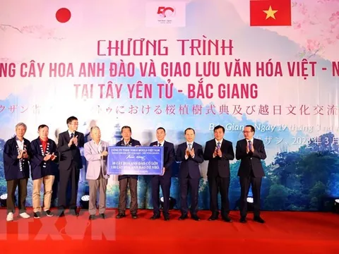Giao lưu văn hóa gắn kết tình hữu nghị Việt Nam-Nhật Bản
