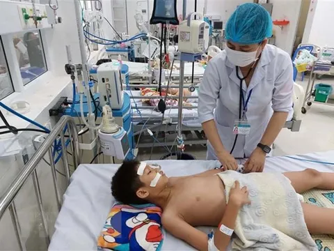 Thành phố Hồ Chí Minh nâng cao cảnh giác với bệnh do virus Marburg