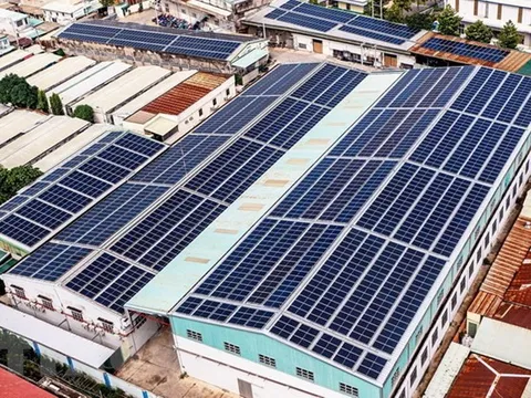 9 dự án Việt đầu tiên tham gia Chương trình thúc đẩy tài chính khí hậu