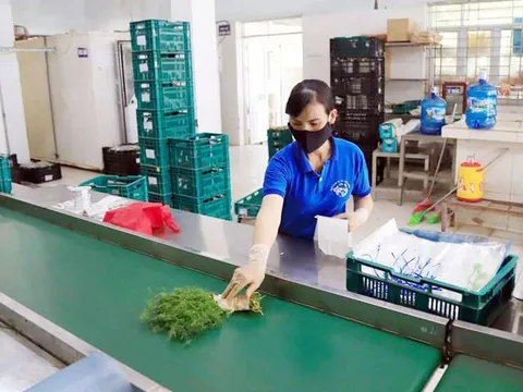 Thực hiện nhiều giải pháp chống hàng giả, hàng nhái