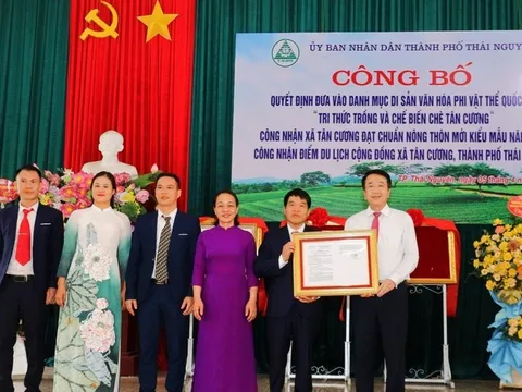 Tri thức trồng và chế biến chè Tân Cương là Di sản văn hóa phi vật thể quốc gia
