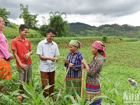 Sẽ hình thành 3 hệ thống thông tin về bảo trợ xã hội và giảm nghèo