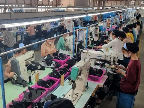 Hướng dẫn doanh nghiệp về thủ tục cấp chứng nhận tiêu chuẩn của Ấn Độ