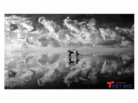 Biển Quang Lang (Thái Thụy, Thái Bình) lúc bình minh