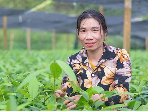 Toàn quốc có 4,3% hộ nghèo đa chiều theo chuẩn nghèo mới