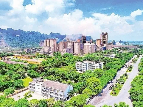 Hàng loạt doanh nghiệp xi măng bị thanh tra