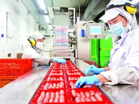 Thị trường lao động tiếp tục đà phục hồi