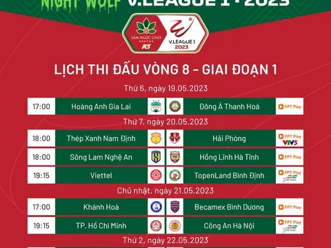 Lịch thi đấu vòng 8 V-League: Tâm điểm với Thanh Hóa gặp Hoàng Anh Gia Lai