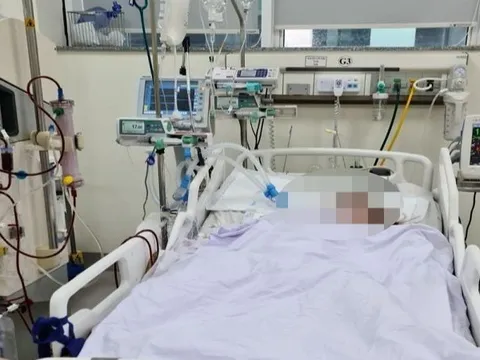 Nguy kịch tính mạng vì nhiễm liên cầu khuẩn lợn