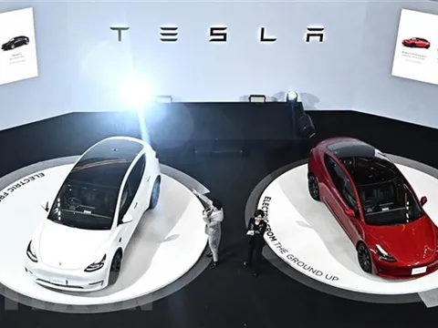 Tesla đưa xe điện sản xuất tại Trung Quốc xuất khẩu sang Canada