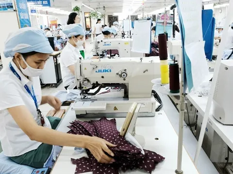 Thị trường trầm lắng: Doanh nghiệp xuất khẩu nỗ lực tìm hướng đi mới