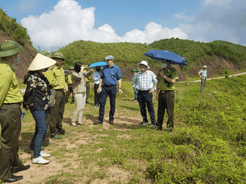 Lạng Sơn xem xét đề nghị chuyển đổi diện tích rừng trồng thuộc dự án Việt Đức từ rừng phòng hộ sang rừng sản xuất