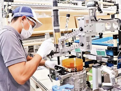 Tạo việc làm bền vững cho người lao động