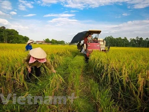 Cho phép chuyển nhượng vốn góp có làm mất đi bản chất của hợp tác xã?