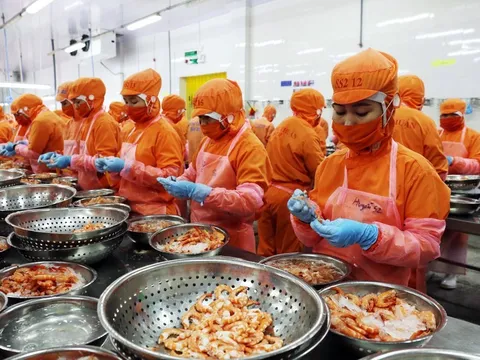 Thúc đẩy công nghiệp chế biến sâu thủy sản