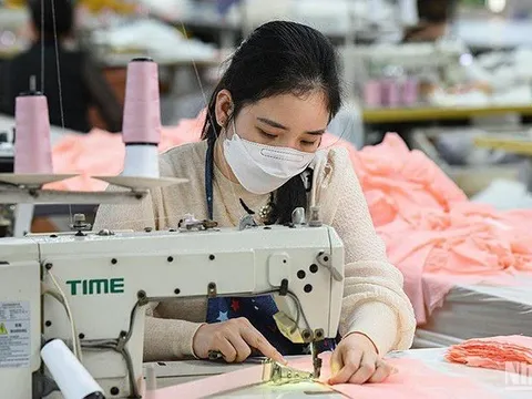 Kết nối, chia sẻ cơ sở dữ liệu về lao động-việc làm