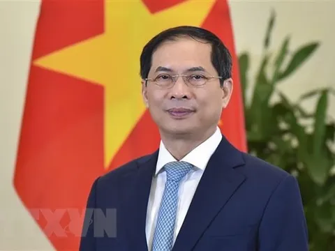 Việt Nam-Pháp trước nhiều cơ hội đưa quan hệ hợp tác lên tầm cao mới