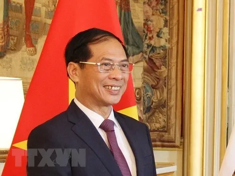 Bước phát triển tích cực trong quan hệ Việt Nam và Cộng hòa Séc